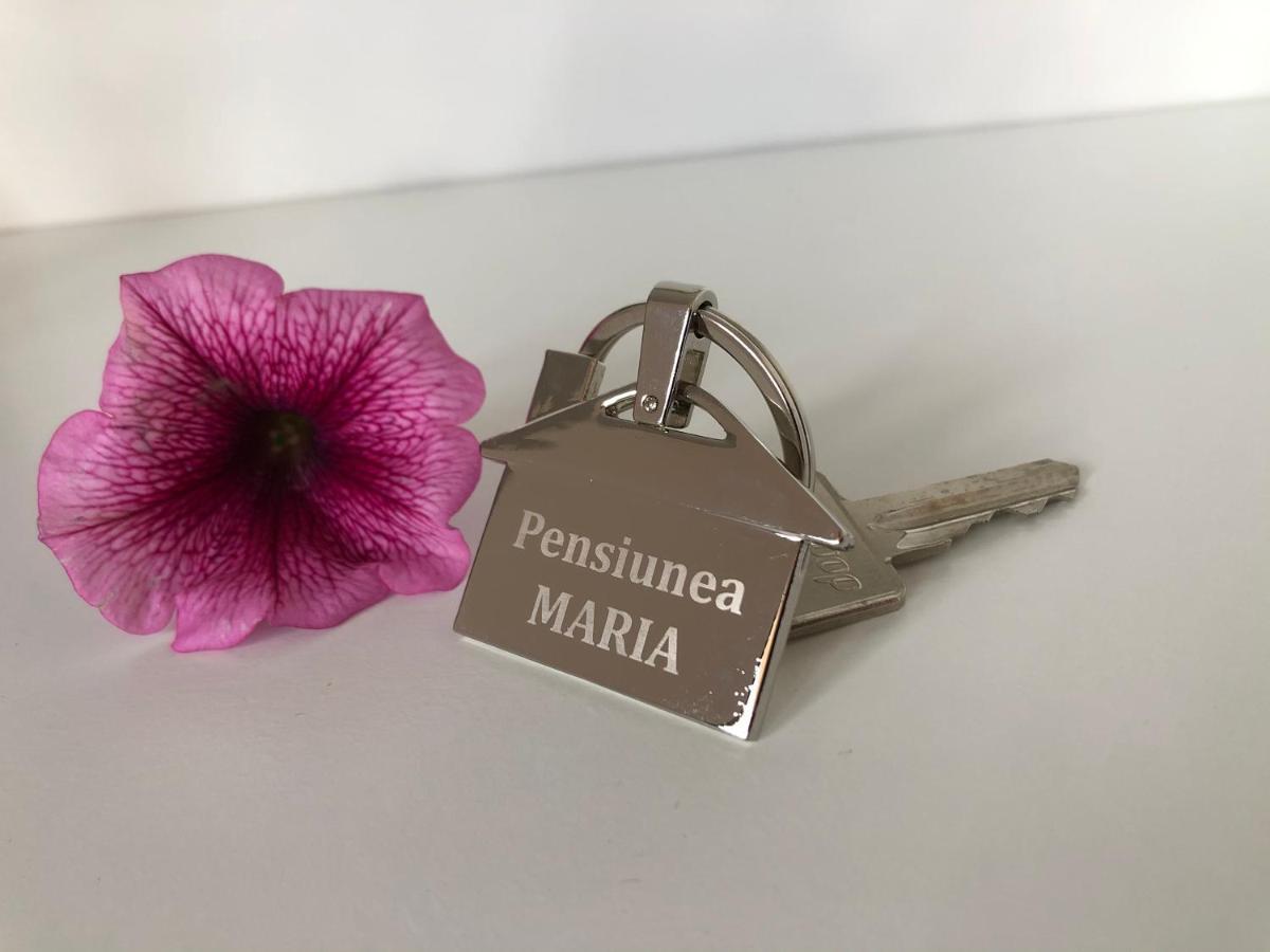 Pensiunea Maria Colibiţa 外观 照片